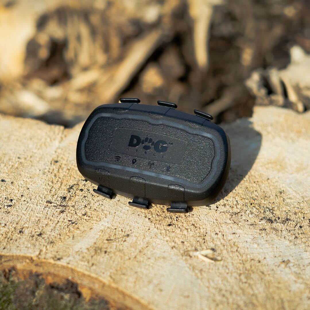 GPS тракер Dogtrace DOG GPS ultra с вградена eSIM снимка 3